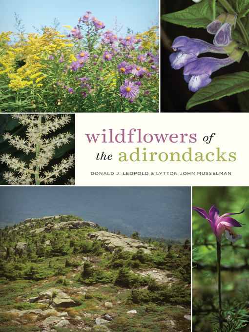 Title details for Wildflowers of the Adirondacks by Donald J. Leopold - Available